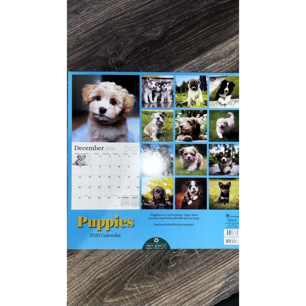2026 Puppies Wall Calendar 12x12” Curious Cute Picture Glossy